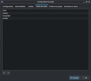 Interface de saisie des métadonnées dans Kdenlive