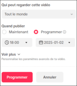 Interface TikTok pour programmer l’envoi d’une vidéo à une heure précise